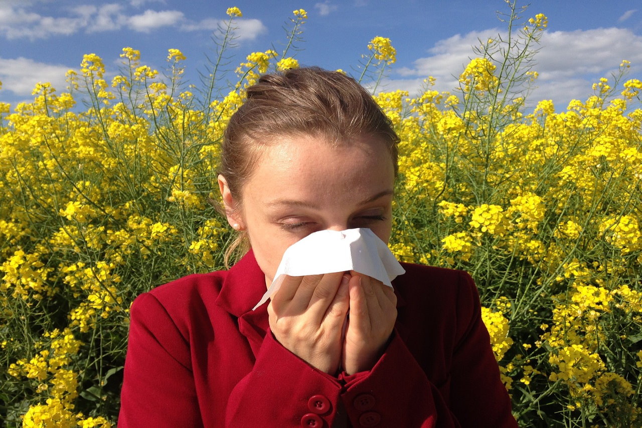 Alergia na pleśń